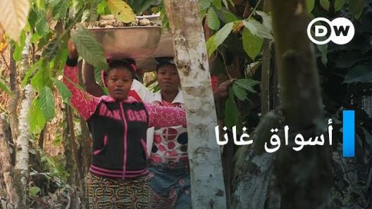كاكاو من غانا | وثائقي غانا